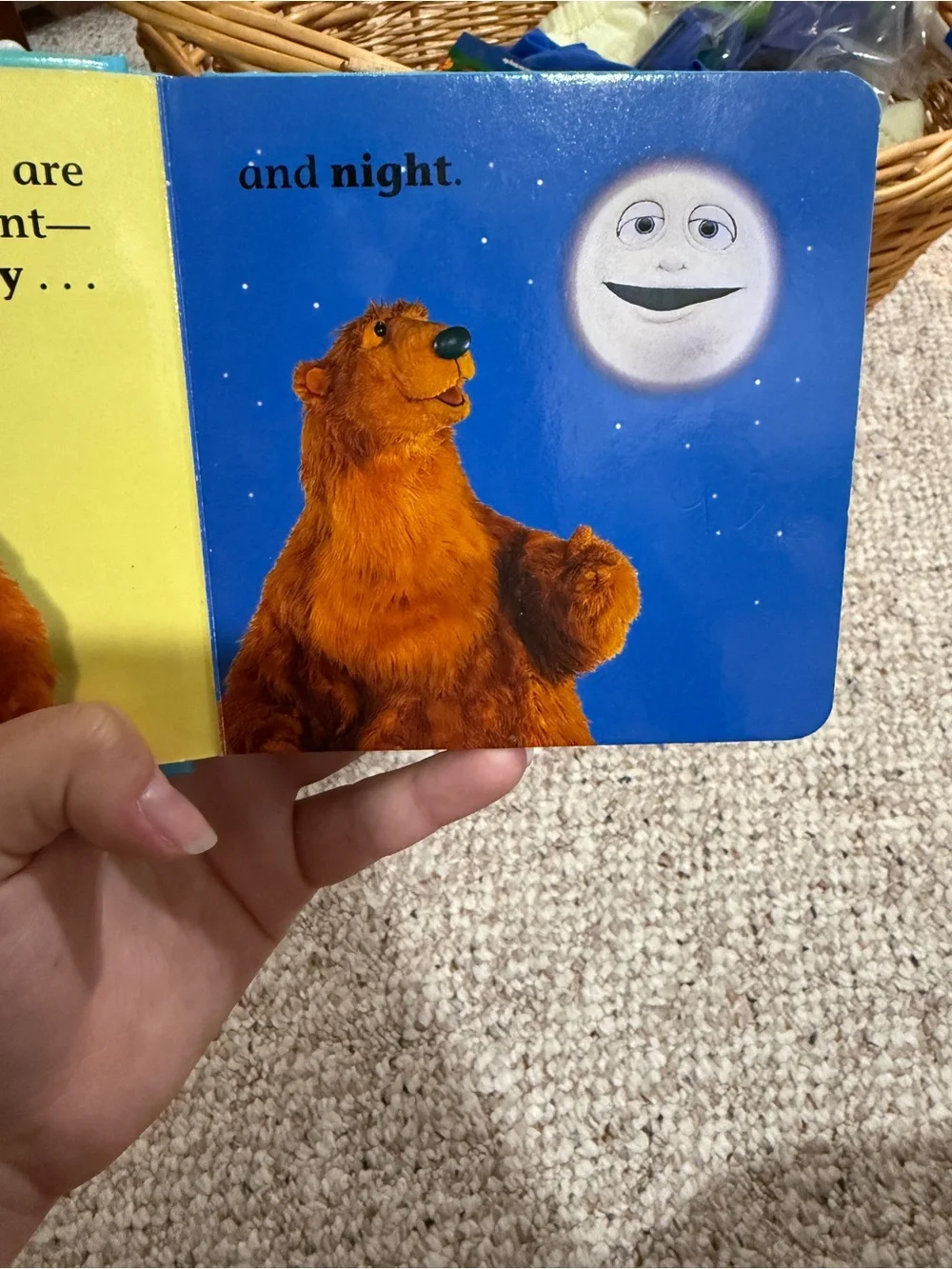 Bear Loves Opposites! Board Book - bear in the big blue house - Picture 3 of 7